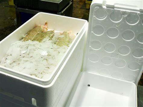 Fish Box 20kg (Grand Capacité)