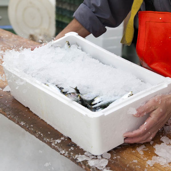 Fish Box 6kg